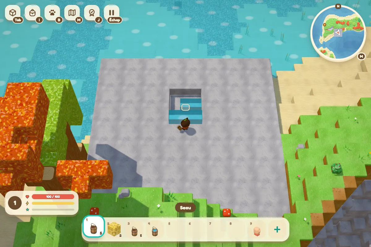 Un petit bassin creusé dans une plateforme de pierre, avec le personnage tenant un seau.